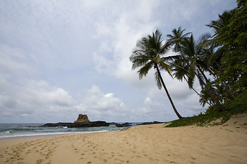 Image showing summer paradise landscape