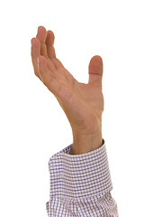 Image showing Hand