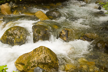 Image showing Stream