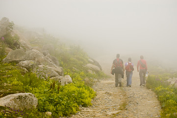 Image showing Hiking In The Fog