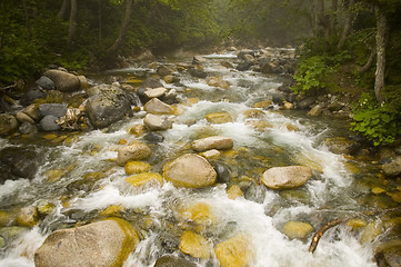 Image showing Stream