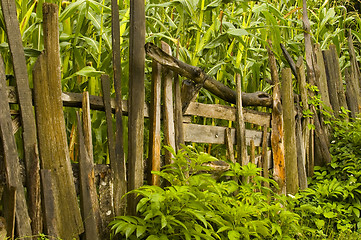 Image showing Fence