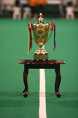 Image showing Trophy
