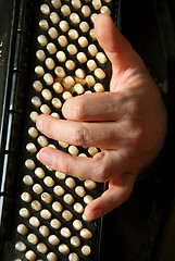 Image showing Musician hand playing accordion