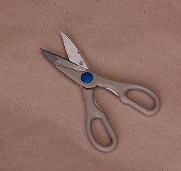 Image showing A pair of scissors.