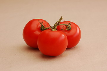 Image showing Tomato triplet.