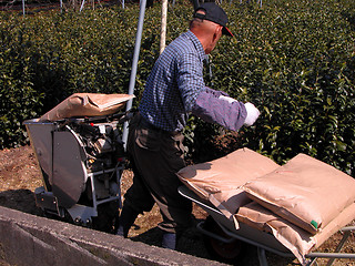 Image showing Farmer Working