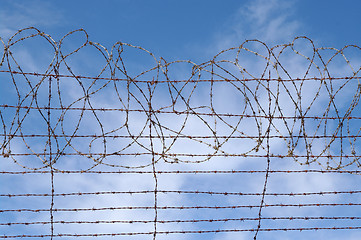 Image showing restrictions barbed wire blue sky