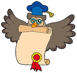 Image showing Owl teacher with diploma