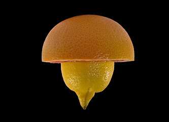 Image showing Halfs of grapefruit and lemon isolated on black bacgroung with c