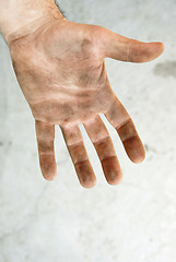 Image showing Dirty palm