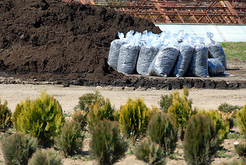 Image showing Humus in sacks