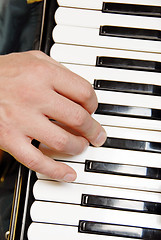 Image showing Musician hand playing accordion