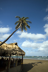 Image showing ocean front beach thatched roof restaurant nicaragua