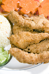 Image showing filet of fish breaded nicaragua