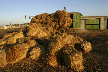 Image showing straw bales