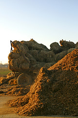 Image showing straw bales on trailer in farm yard