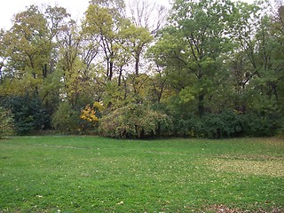 Image showing Park