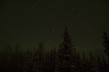 Image showing Look up north in the night - Big Dipper!