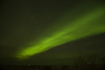 Image showing Growing from the cloud, northern lights