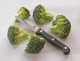 Image showing Freshly cut broccoli.
