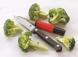 Image showing Freshly cut broccoli