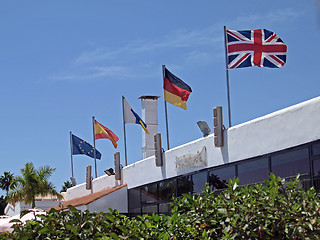 Image showing National flags.