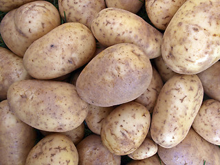 Image showing Potatoes.