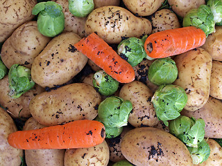 Image showing Potatoes, carrots and brussel sprouts.   