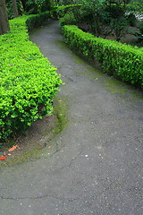 Image showing Road In A Garden