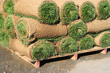 Image showing Rolls Of Sod