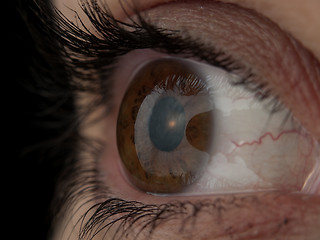 Image showing Human Eye Macro