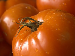 Image showing wet tomatoe#2