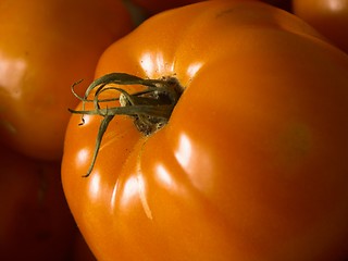 Image showing tomato