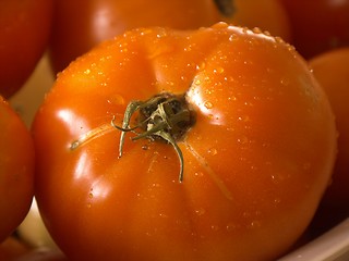 Image showing wet tomatoe