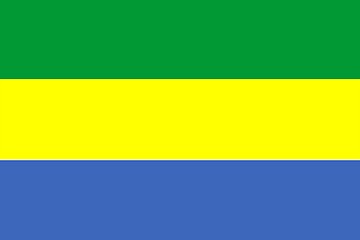 Image showing Gabon Flag
