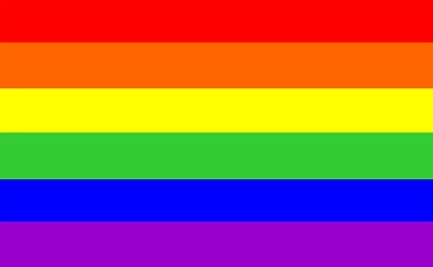 Image showing Gay Flag