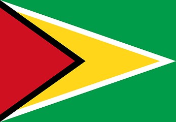 Image showing Guyana Flag