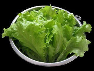 Image showing fresh salad