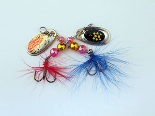 Image showing Fishing tackle.