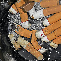 Image showing Cigarette butts.