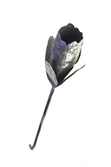 Image showing Metal Rose