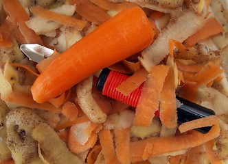 Image showing Vegetable scraper and peelings.