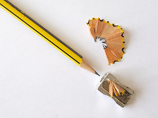 Image showing Pencil and a sharpener. 