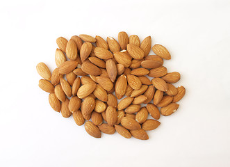 Image showing        Almond nuts.       