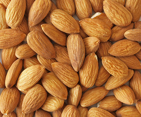 Image showing Almond nuts.       