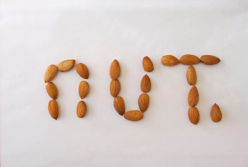 Image showing Almond nuts.        