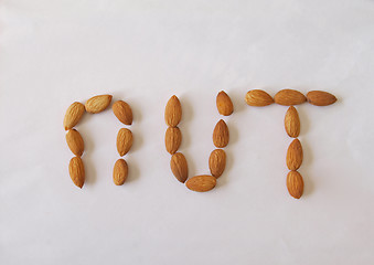 Image showing Almond nuts.       