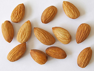 Image showing Almond nuts.       