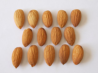 Image showing Almond nuts.       